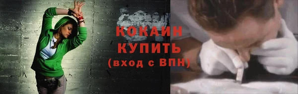 ПСИЛОЦИБИНОВЫЕ ГРИБЫ Магас