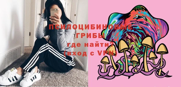 меф Медвежьегорск