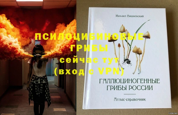 меф Медвежьегорск