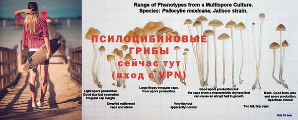 твердый Вязьма