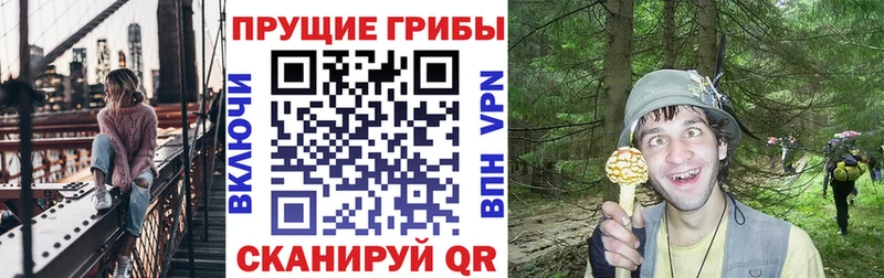 Псилоцибиновые грибы Magic Shrooms  Новоуральск 