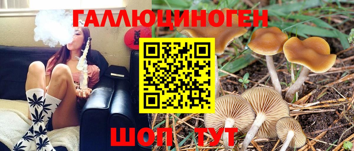 Галлюциногенные грибы MAGIC MUSHROOMS  цены наркотик  Новоуральск 