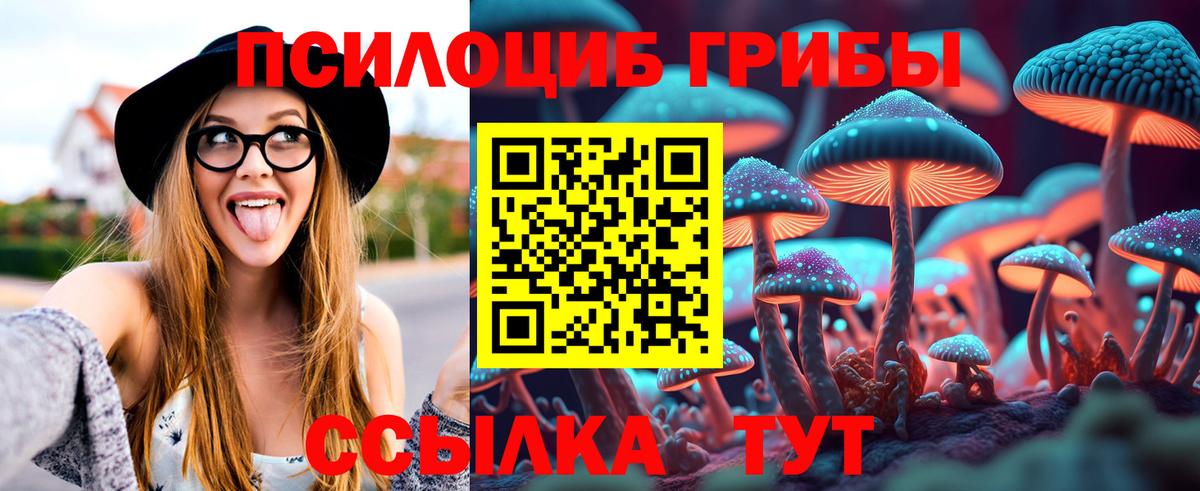 Галлюциногенные грибы GOLDEN TEACHER Новоуральск